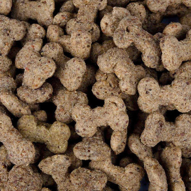 Christopherus Hundeleckerli Vegetarian Crunchy Cracker, Apfel & Linsen Hundeleckerli