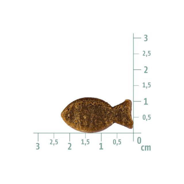 Christopherus Hundeleckerli Soft-Im-Biss, Forelle & Insekt Veggie