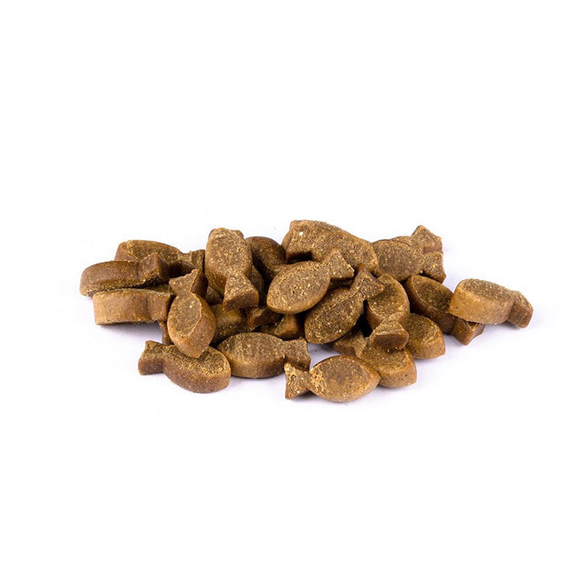 Christopherus Hundeleckerli Soft-Im-Biss, Forelle & Insekt Veggie