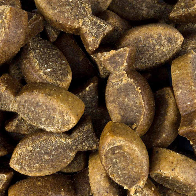 Christopherus Hundeleckerli Soft-Im-Biss, Forelle & Insekt Veggie