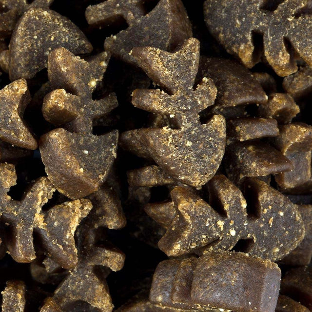 Christopherus Hundeleckerli Soft-Im-Biss, Lachs Hundeleckerli