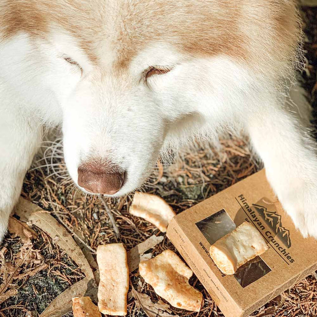 Churpi Himalayan Crunchies, 70g