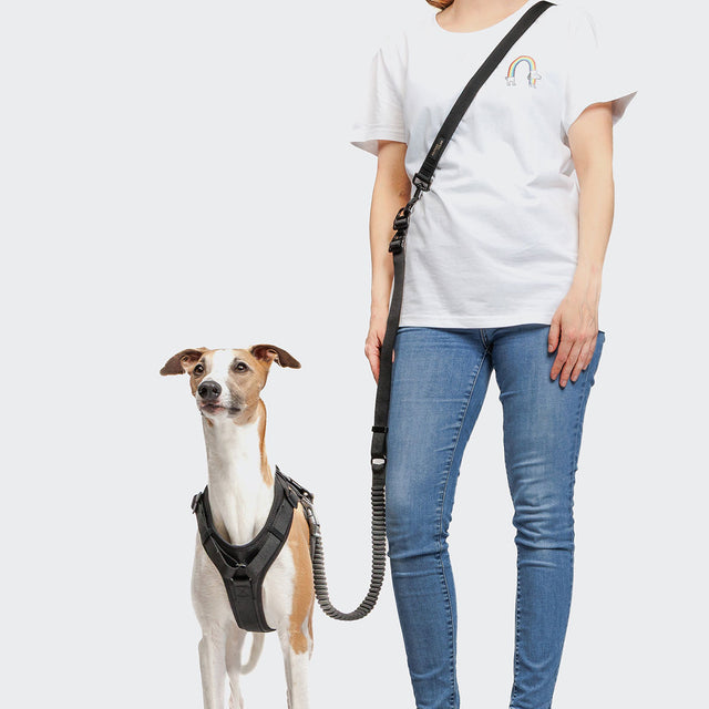 Cloud7 Hundegeschirr Y-3 AKTIV Softshell, Black Hundegeschirr