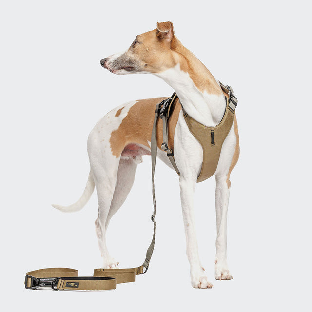 Cloud7 Hundegeschirr Y-2 Aktiv Cordura, Khaki Hundegeschirr