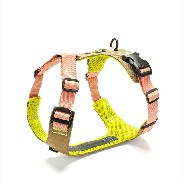 Cloud7 Hundegeschirr Y-2 Aktiv Cordura, Peach Hundegeschirr