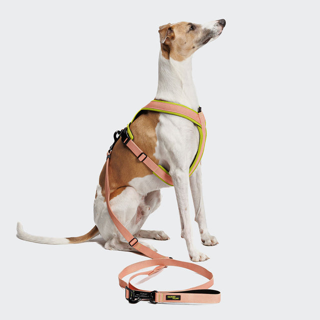 Cloud7 Hundeleine L-1-Hands-Free-Leash AKTIV, Peach Hundeleine
