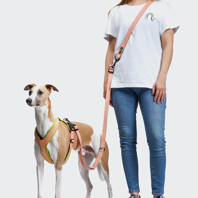 Cloud7 Hundeleine L-1-Hands-Free-Leash AKTIV, Peach Hundeleine