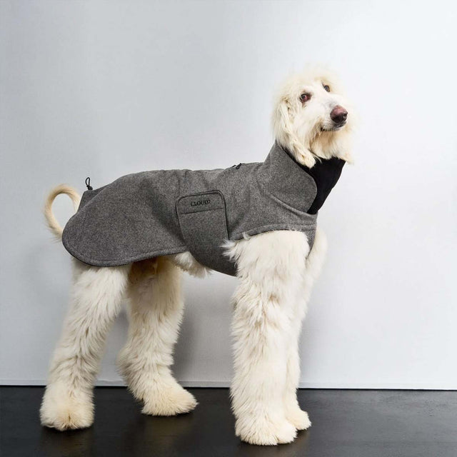 Cloud7 Hundemantel Brooklyn Long, Tweed Black Hundewintermantel