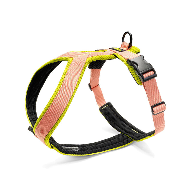 Cloud7 Hundegeschirr Y-1-Aktiv Air-Mesh, Peach Hundegeschirr