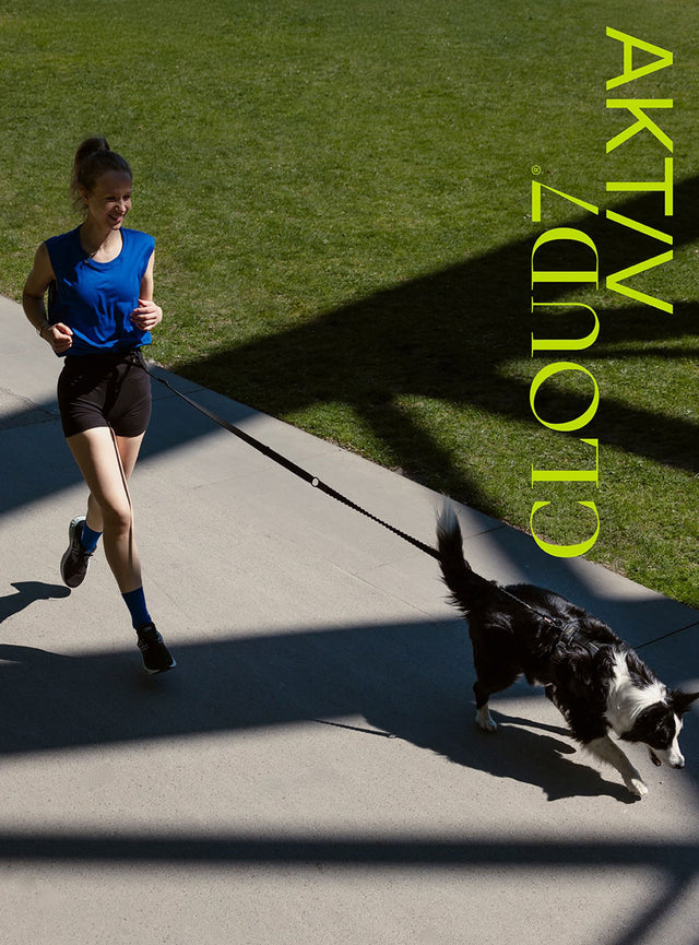 Cloud7 Hundegeschirr Y-1-Aktiv Air-Mesh, Black Hundegeschirr