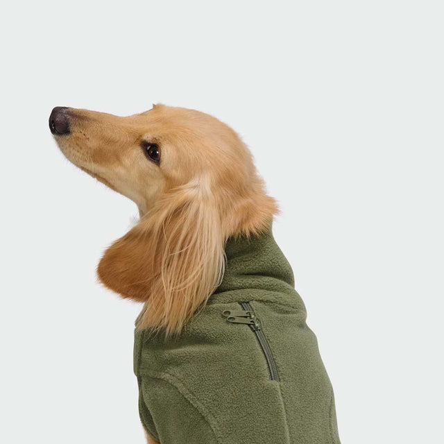 Cloud7 Hundepullover Dackel Body Warmer AKTIV, Khaki Hundepullover
