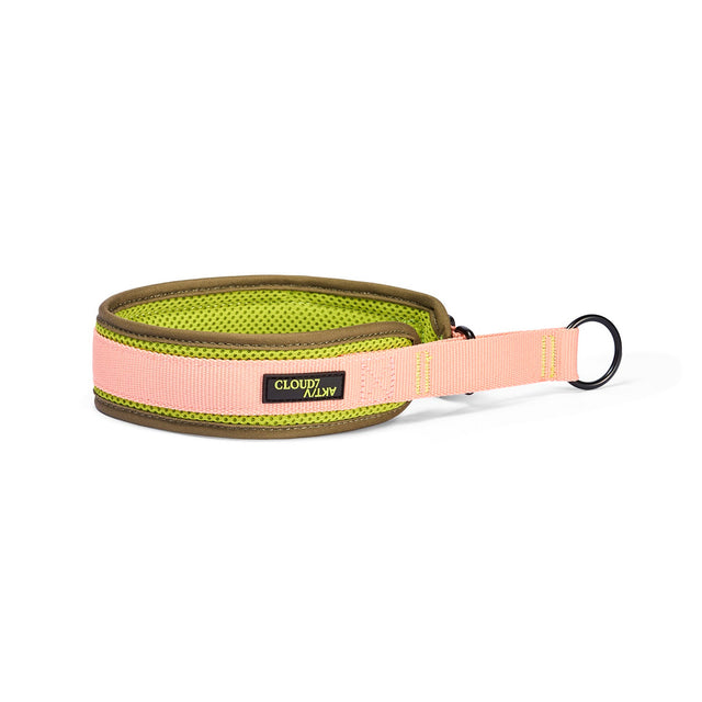 Cloud7 C-1 Zugstopp Halsband Air-Mesh AKTIV, Neon Green/Peach Hundehalsband