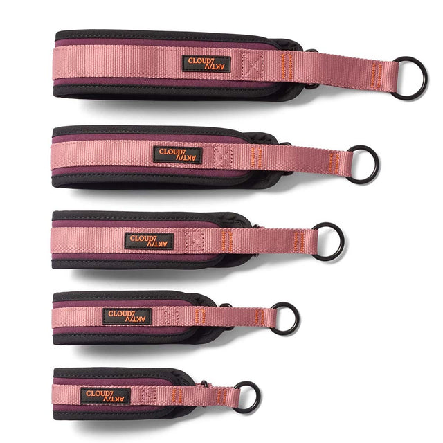 Cloud7 C-1 Zugstopp Halsband AKTIV Softshell, Aubergine/Soft Rose Hundehalsband
