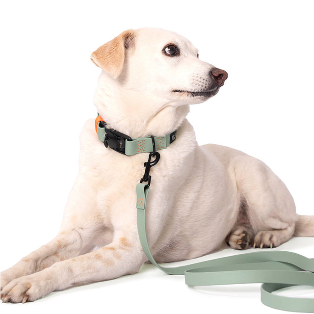 Cloud7 Freihandleine BioThane Ipanema, Mint - Neon Orange Hundeleine