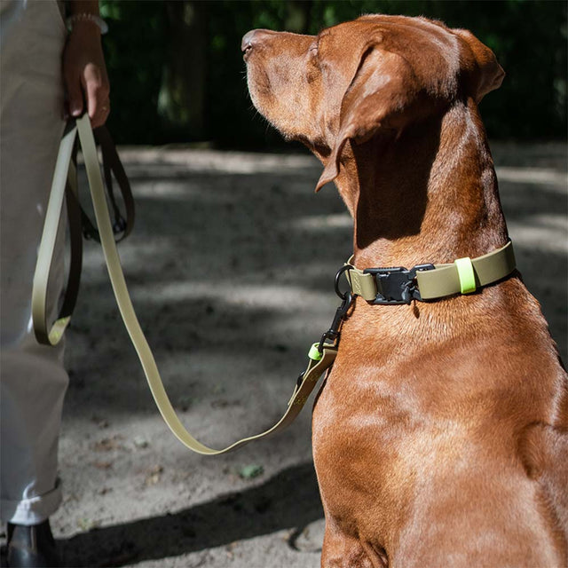 Cloud7 Freihandleine BioThane Ipanema, Olive-Neon Green Hundeleine