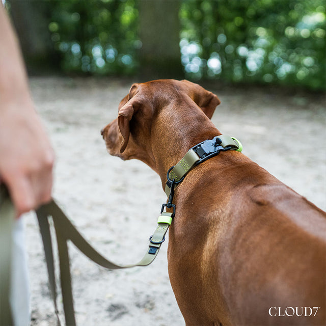 Cloud7 Freihandleine BioThane Ipanema, Olive-Neon Green Hundeleine
