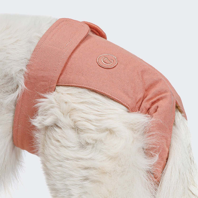 Cloud7 Läufigkeitshöschen, Rosé Hundebedarf