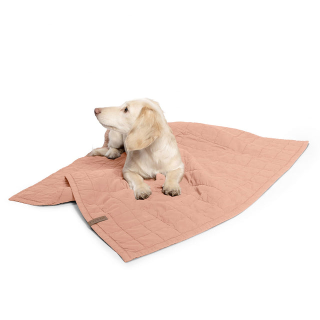 Cloud7 Hundedecke LTTL Dusty Rose Hundedecke