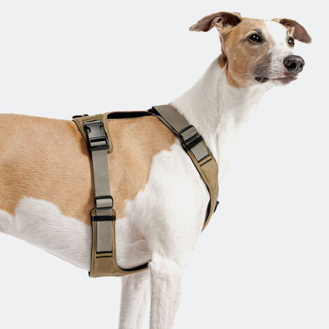 Cloud7 Hundegeschirr Y-Safe Aktiv Cordura, Khaki Hundegeschirr
