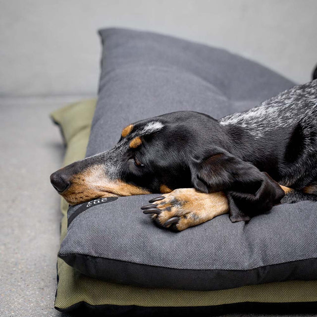 Cloud7 Hundekissen RESC7UE, Amber Hundekissen