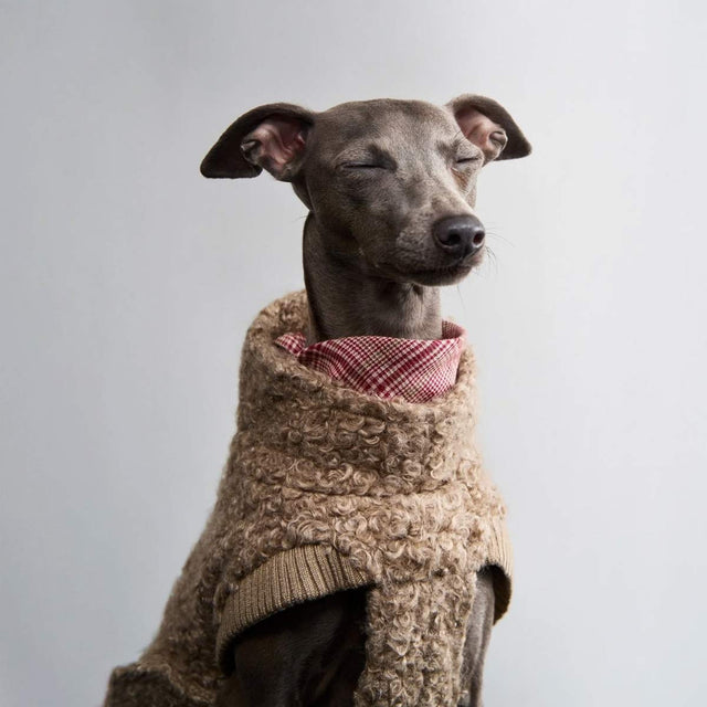 Cloud7 Hundepullover Gotland, Anthra Hundepullover