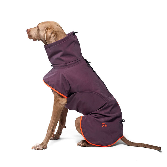 Cloud7 Hunderegenmantel AKTIV Aubergine/Orange Hunderegenmantel