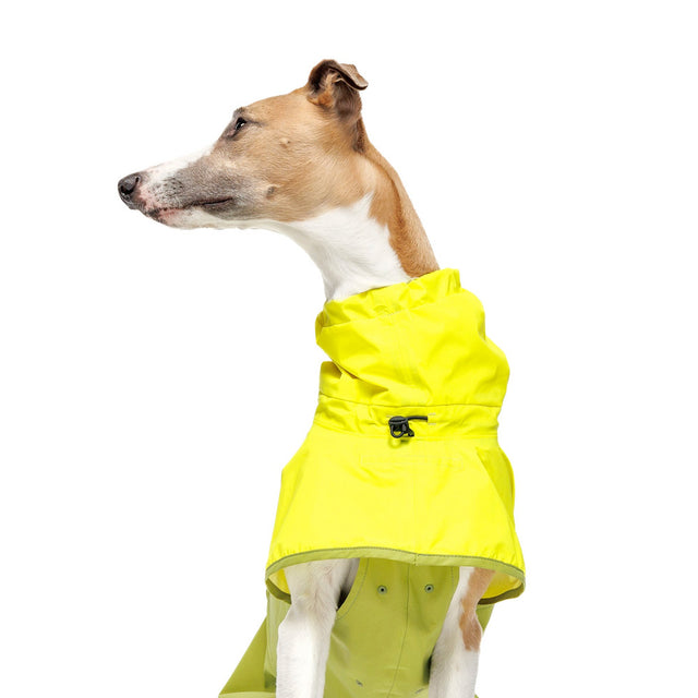 Cloud7 Hunderegenmantel AKTIV Neon Green/Light Olive Hunderegenmantel