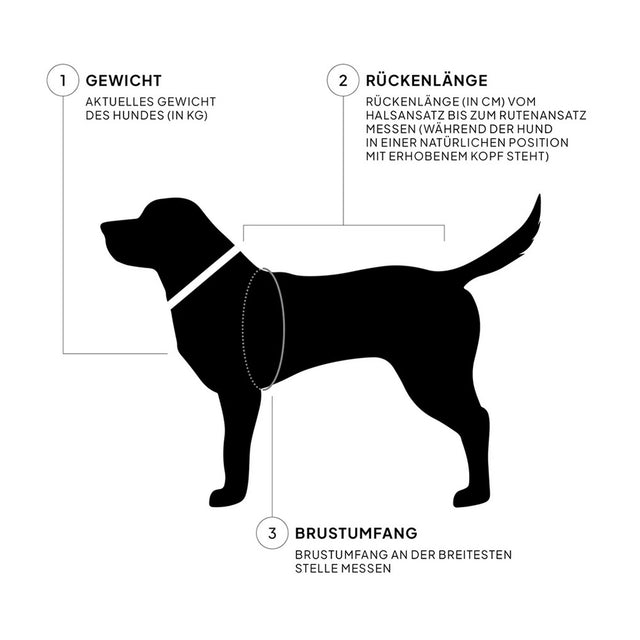 Cloud7 Hunderegenmantel Dublin, Woodrose Hunderegenmantel