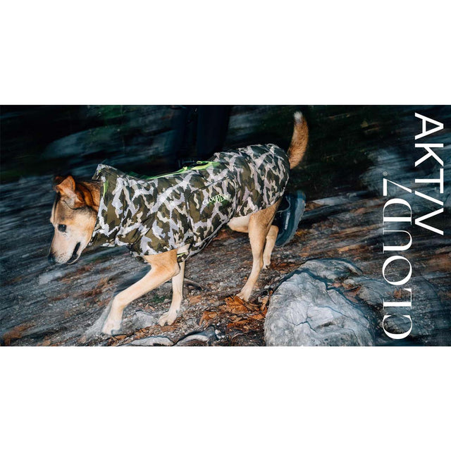 Wintermantel Dackel Alaska AKTIV CAMO