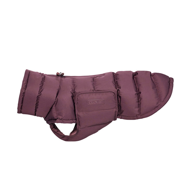 Cloud7 Wintermantel Alaska, Dark Aubergine Hundewintermantel