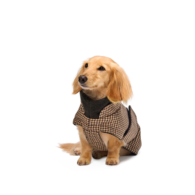 Cloud7 Hundemantel Dackel Brooklyn, Houndstooth Hundewintermantel