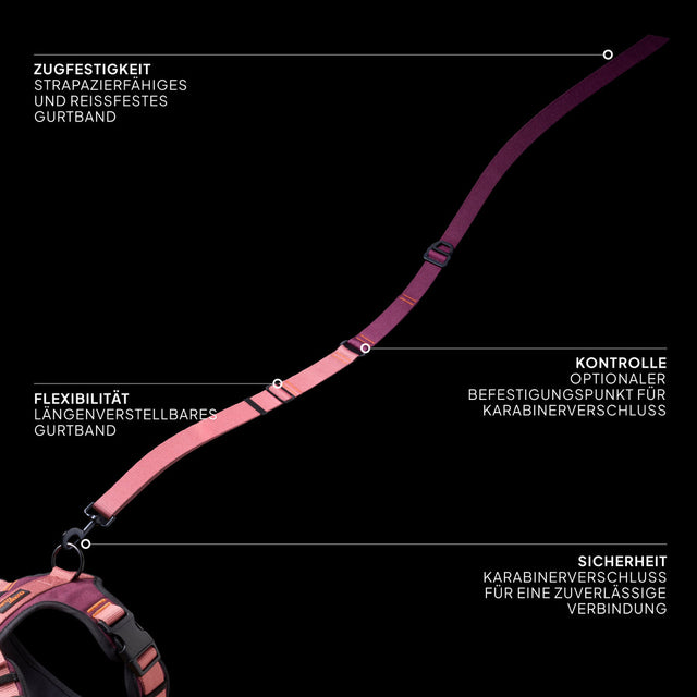 Cloud7 Hundeleine L-1 Freihandleine AKTIV, Aubergine/Soft Rose Hundeleine