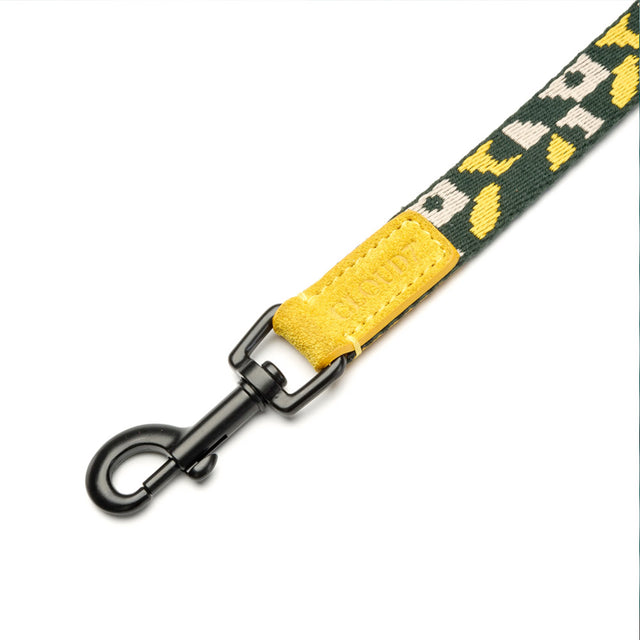 Cloud7 Hundeleine Maksimir Park, Green/Yellow Hundeleine