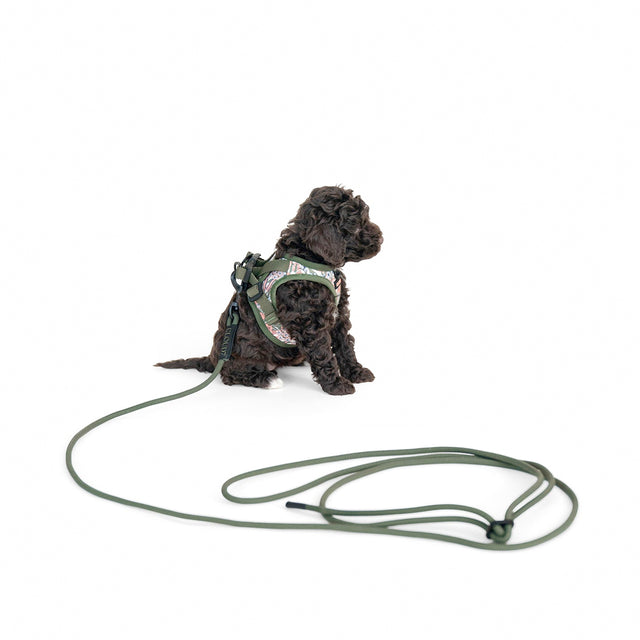 Cloud7 Seilleine LTTL Dark Olive Hundeleine