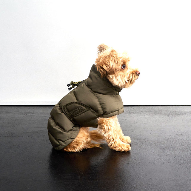 Cloud7 Wintermantel Alaska, Light Olive Hundewintermantel