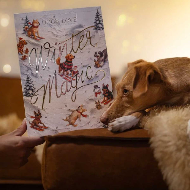 Adventskalender Dog's Love