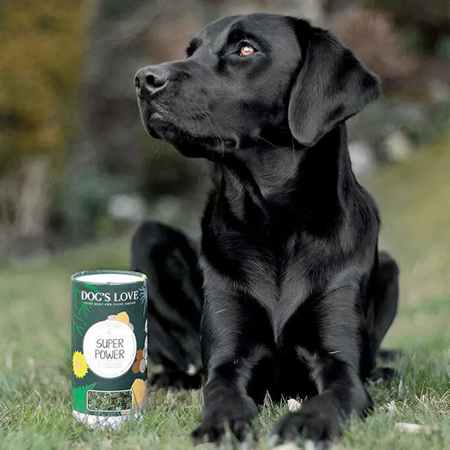 Dog's Love Kräutermischung SUPER POWER, 110g Nahrungsergänzungsmittel für Hunde