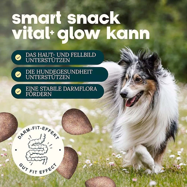Dog's Love Hundeleckerli Smart Snacks VITAL+ GLOW, 150g Funktionssnack