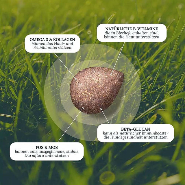 Dog's Love Hundeleckerli Smart Snacks VITAL+ GLOW, 150g Funktionssnack