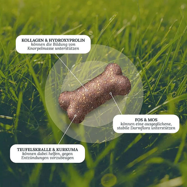 Dog's Love Hundeleckerli Smart Snacks VITAL+ MOVE, 150g Funktionssnack