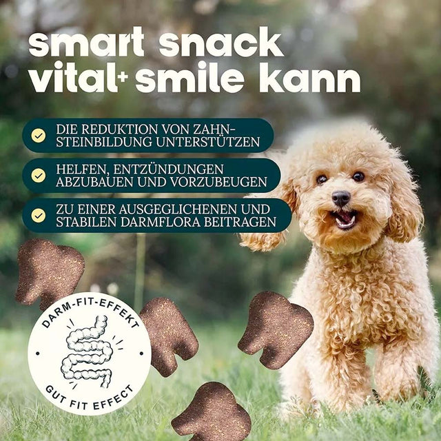 Dog's Love Hundeleckerli Smart Snacks, VITAL+ SMILE, 150g Funktionssnack