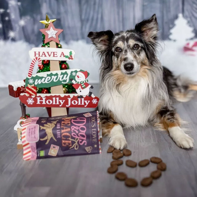 Winter-Chips Biohuhn mit Bio-Mandeln und Bio-Zimt