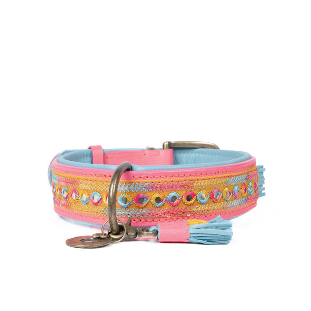 Dog with a Mission Hundehalsband | Indian Summer Hundehalsband