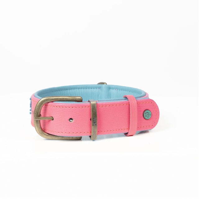 Dog with a Mission Hundehalsband | Indian Summer Hundehalsband