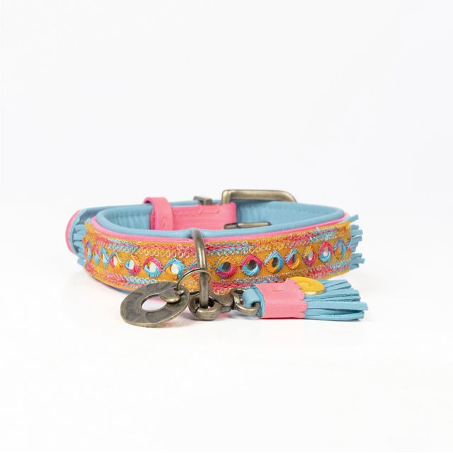 Dog with a Mission Hundehalsband | Indian Summer Hundehalsband