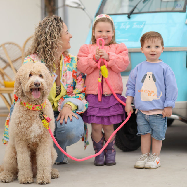 Dog with a Mission Hundeleine | Lotus Hundeleine