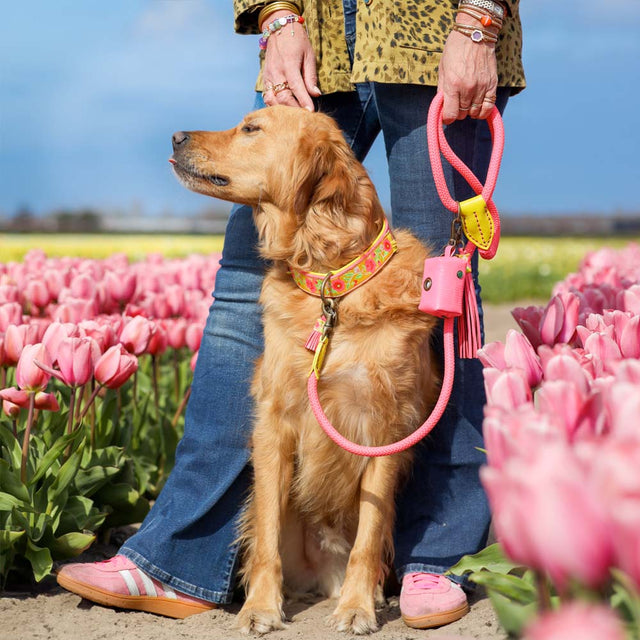 Dog with a Mission Hundeleine | Lotus Hundeleine