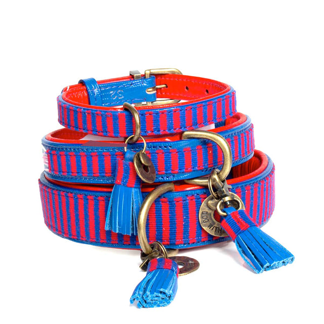 Dog with a Mission Hundehalsband | Mr. Clooney Hundehalsband