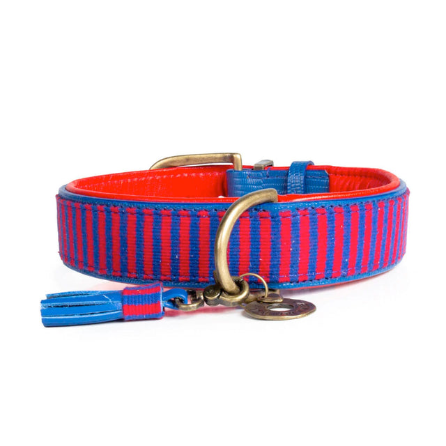 Dog with a Mission Hundehalsband | Mr. Clooney Hundehalsband