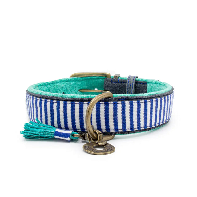 Dog with a Mission Hundehalsband | Mr. Cruise Hundehalsband